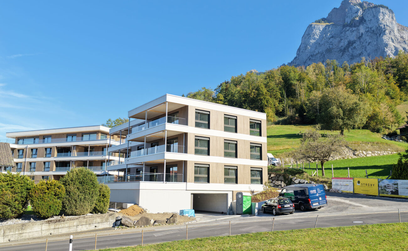 Mehrfamilienhäuser Wiitsicht, Rickenbach Schwyz, Umgebungsarbeiten